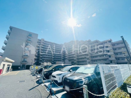 ���n�O�ώʐ^ ���΋{�w�k��6���I�{���w�k��18���E�y�C�w�k��18���I�X�e���^�E���k��4����