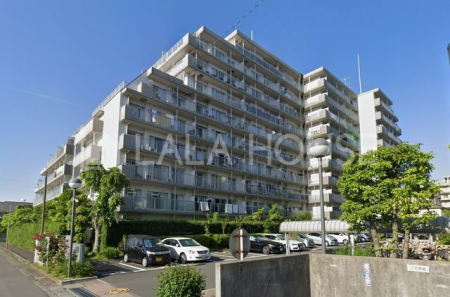 ���n�O�ώʐ^ ��{�w�k��15���I�y�b�g��������ː�177�˂̑�K�̓��W�f���X��