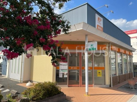 ���ӊ� �k����w�O�X�֋� �k��12���B 900m