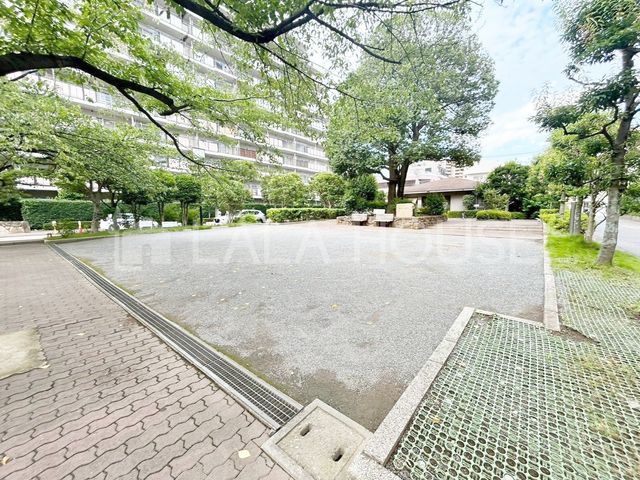 ���̑� ����