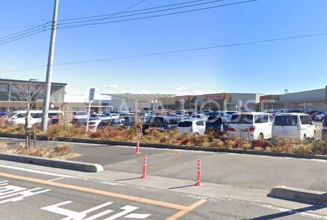 ���ӊ� �J�X�~�t�[�h�X�N�G�A�t���X�|�����c�X �k��8���B 490m