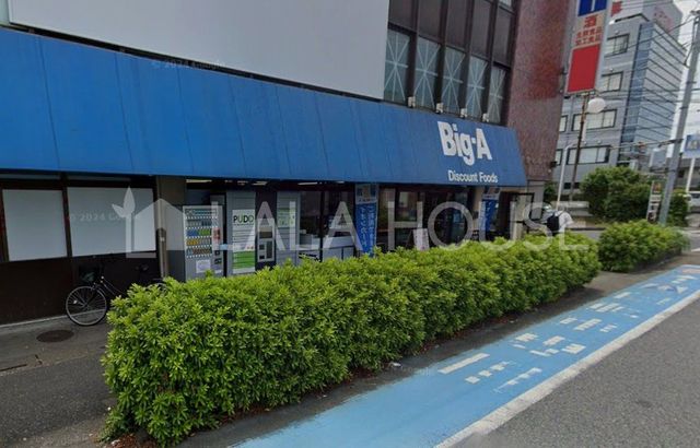 ���ӊ� Big-A��{�V���X �k��10���B 790m