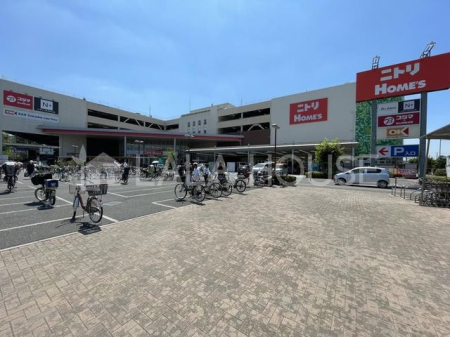 ���ӊ� �I�[�P�[��{�{���X �k��7���B 530m