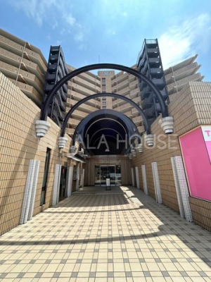 �G���g�����X -