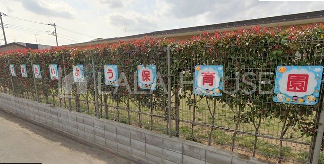 ���ӊ� ��������悤�ۈ牀 �k��3���B 210m