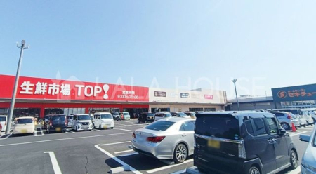 ���ӊ� �}�~�[�}�[�g���N�s��TOP�Z�L�`���[����X �k��17���B 1290m